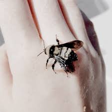 Black Ant King Pills Near Me Lite Goth Aesthetic