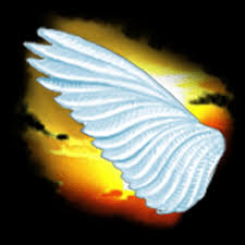 Obituary information for Johnny McGregor