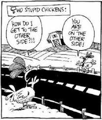 Covertress Why Did The Chicken Cross The Road Funny Cartoon Pictures Clean Funny Jokes Funny Chicken Pictures