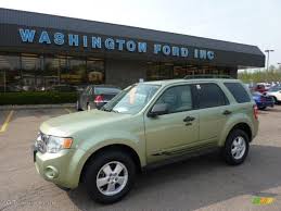 Image result for Kiwi Green 2009 Escape