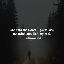 Bypassing starfleet's orders, lorca uses the u.s.s. Quotes Nd Notes And Into The Forest I Go To Lose My Mind And Find My Soul Via Quotes Nd Notes Facebook