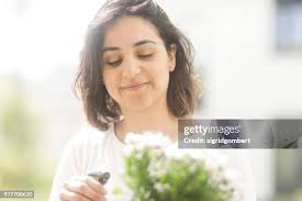 769 Self Watering Plants Stock Photos, High-Res Pictures, and Images