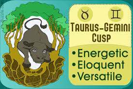 Personality Traits Of The Very Dynamic Taurus Gemini Cusps Astrology Bay