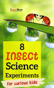8 Simple Science Experiments With Bugs In 2020 Science Experiments Kids Easy Science Experiments Science Experiments