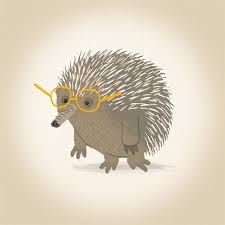 Echidna Animal Illustration Hedgehog Art Cute Australian Animals