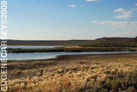 Image result for Little Catnip Spring - Sheldon Refuge Winnemucca NV