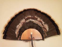 It will surely bring back memories of the hunt for years to come, and it doesn't even require a payment plan. Turkey Fan Mount Diy Hunt Talk