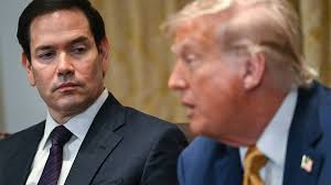 Strengthen the dental safety net for all citizens