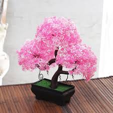Flowering bonsai trees for sale. Buy S Shaped Bonsai Tree With Green And Yellow Flowers In Rectangular Pot Online In India Wooden Street