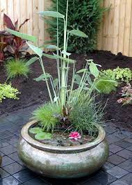 Balkon Ideen Selber Machen Ein Mini Teich Im Topf Garden Zonu Landscaping Diy Selberbauen Garten Container Water Gardens Indoor Water Garden Mini Pond