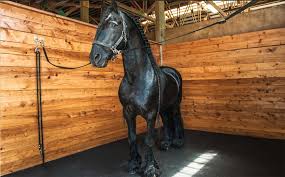 Industrial rubber slab, industrial, flooring, rubber floor covering. Rubber Mats For Horse Stalls And Livestock Trailers