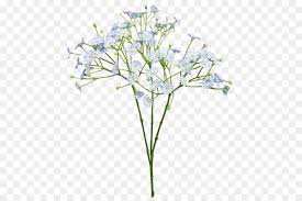 Maybe you would like to learn more about one of these? Light Blue Background Png Download 800 600 Free Transparent Flower Png Download Cleanpng Kisspng