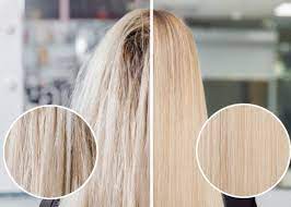 Maschera alla salvia e basilico. Capelli Rovinati Vuoi Ripararli Sei Ancora In Tempo