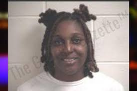 Parris Johnson — Henry County Jail Bookings