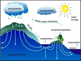 We did not find results for: Water Cycle Lesson Plans
