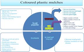 The vast majority of insect damage to trees is caused by 22 common insect pests. Coloured Plastic Mulches Impact On Soil Properties And Crop Productivity Springerlink