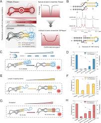 Image result for Modified Apt Test