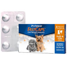 Great capstar pills for cats: Generic Alternatives To Capstar For Dogs And Cats Fleascience