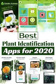 19 Best Plant Identification Apps For 2021 Plant Identification Plant Identification App Plant App