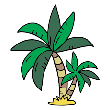Get to know your apple watch by trying out the taps swipes, and presses you'll be using most. Palme Hand Gezeichneter Baum Transparenter Png Und Svg Vektor