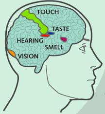 Synesthesia Bing Images Writing Exercises Guided Writing Understanding