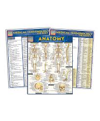 barcharts anatomical terminology reference sheet set