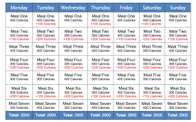 Image Result For Intermittent Fasting Diet Plan Example Fasting Diet Plan Intermittent Fasting Diet Fasting Diet