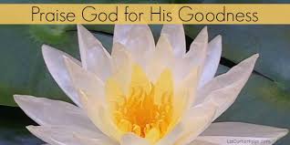 Image result for images EXPECT GODâ€™S GOODNESS AND ABUNDANCE