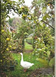 Gorgeous This Is Part Of My Dream Farm To Have An Orchard And A Place Where All My Chooks And Geese Beautiful Gardens Country Gardening Garden Inspiration