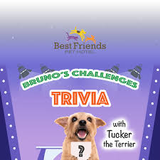 If you know, you know. Best Friends Pet Hotel Tucker The Terrier Has Compiled A List Of 6 Trivia Questions For You To Answer All Of The Answers Are Within The Content Of The Main