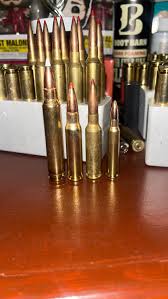 Top 5 Rifle Cartridges For Elk - Petersen'S Hunting