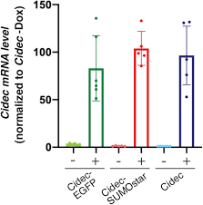 Word spot is the new wonderful word game developed by terrandroid. The Architecture Of Cidec Mediated Interfaces Between Lipid Droplets Biorxiv