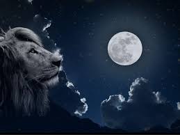 Intuitive Astrology Leo Full Moon January 2021 Forever Conscious