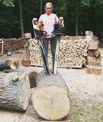 Wood Jerry Wood Seinfeld Kramer 660 661 Stihlsonly Stihlgirl Femalearborist Treework Stihlusa Chainsawgirls Stihl Arborist Wood