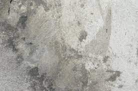 How To Remove Cat Urine From Concrete Homesteady Dog Urine Odor Remover Cat Urine Remover Cat Urine Smells