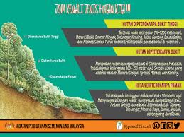 Peta tanah tinggi di malaysia. Kementerian Tenaga Dan Sumber Asli On Twitter Hutan Dipterokarpa Bukit Merupakan Hutan Yang Paling Luas Di Semenanjung Malaysia Spesies Pokok Yang Boleh Ditemui Di Hutan Dipterokarpa Berubah Mengikut Ketinggian Kawasan Tersebut Infografik