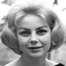 Watch Live TV, Movies, and TV Shows Free Online