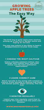 Nov 28, 2018 · get the best mortgage rate for you standard rootstock. Learn How To Grow Apple Trees The Easy Way
