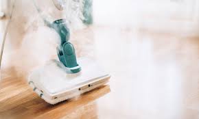 It was first identified in december 2019 in wuhan,. Can Steam Cleaners Kill Household Germs Which News