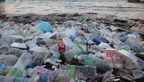 Ocean water covers more than 70 percent of the earth, and only in recent decades have we begun to understand how humans impact this watery habitat. Semporna Malaysia Circa May Stock Footage Video 100 Royalty Free 1012432292 Shutterstock