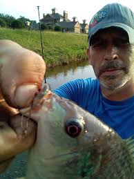 Fishing under a bridge in Georgia