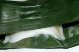 Mengatasi ulat pengerat daun pada tanaman pisang petani youtuber. Gambar Lucu Uang Daun Pisang