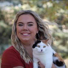 How to fix dodo code travel issues in Animal Crossing New Horizons?