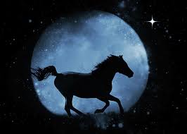 Is there any romanticization or demonization of the moon? Surreal Moon And Horse Fantasy Photograph By Stephanie Laird