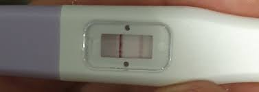 If is urine test then probably very early pregnancy (few days) or aaprox 2 wks from a misscariage. I Took A Pregnancy Test Yesterday Morning But I Accidentally Got Urine On The Stick And Not Just The End It Stayed Completely Blank But This Morning Had A Visible Control And