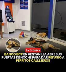 Ya Basta Xalapa