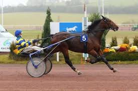 Au trot attelé, chaque driver (conducteur d'attelage) est assis sur un sulky tracté par un cheval. Quinte Pmu Pronostic Du Prix Du Crepuscule 28 Mai 2021