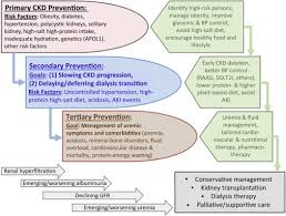 Kidney Health For Everyone Everywhere From Prevention To Detection And Equitable Access To Care Kidney International