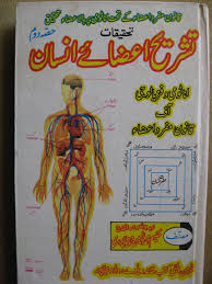 Tib E Nabvi S A W By Imam Ibn Kayio M Al Jozia Hardback 536 Pages Karamat E Tib By Hakim Free Pdf Books Read Books Online Free Free Ebooks Download Books