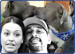 Bullhead City shelter break-in: owner & pit bulls